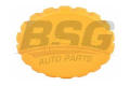 BSG BSG65700198