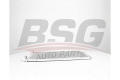 BSG BSG75525006