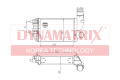 DYNAMATRIX DR96889