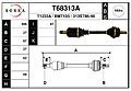 t68313a.jpg