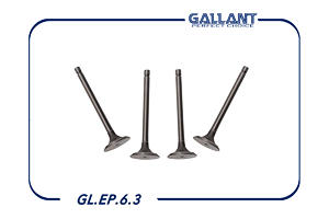 GALLANT GLEP63 