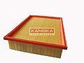 KAMOKA F209901  