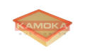 KAMOKA F209901  