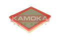 KAMOKA F216901  