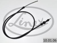 LINEX 100106