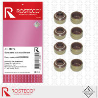 ROSTECO 21075 