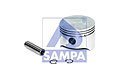 SAMPA 2024081