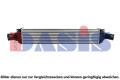 AKS+DASIS 047047N
