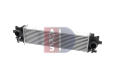 AKS+DASIS 227009N