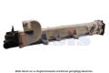 AKS DASIS 260026N   