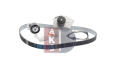 AKS DASIS 570256N  