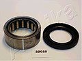 ASHIKA 44-22025    