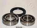 ASHIKA 44-24003    