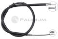 ASHUKI PAL31238