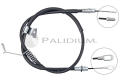 ASHUKI PAL31287
