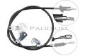 ASHUKI PAL31475