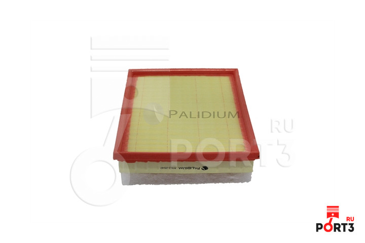 ASHUKI PAL22540