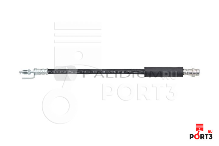 ASHUKI PAL30383