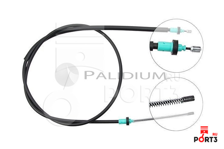 ASHUKI PAL31165