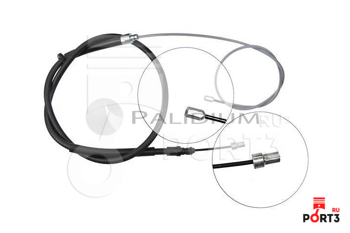 ASHUKI PAL31168