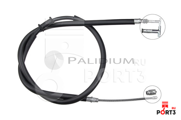 ASHUKI PAL31238