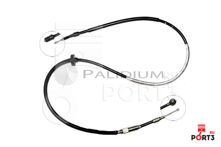ASHUKI PAL31572