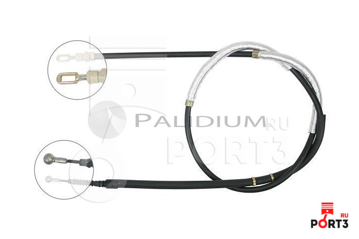 ASHUKI PAL31579