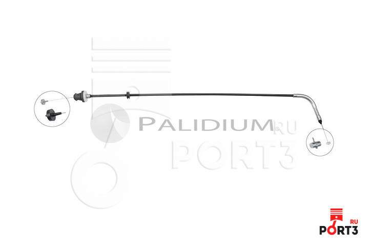ASHUKI PAL31893
