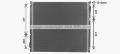  AVA QUALITY COOLING MN2154