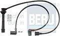 BERU 0300890916   