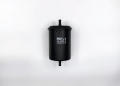 BIG FILTER GB-306PL  