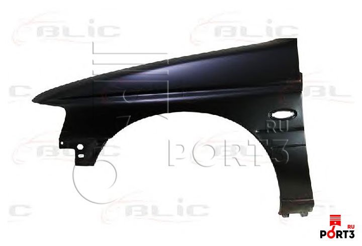 BLIC 6504042530313P