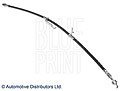 BLUE PRINT ADT353366 Тормозной шланг
