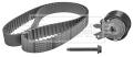 BORG & BECK BTK1014   