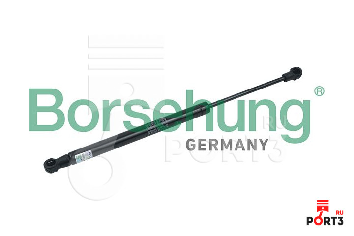 BORSEHUNG B18439