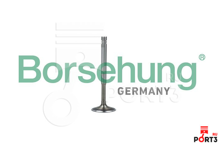 BORSEHUNG B19010