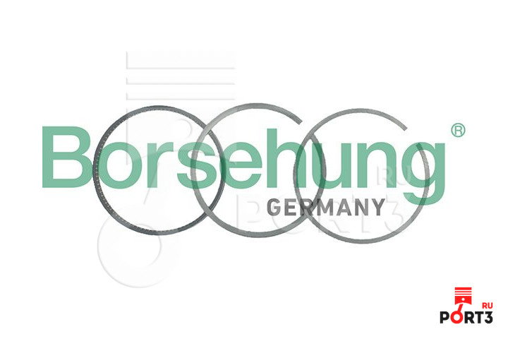 BORSEHUNG B19054