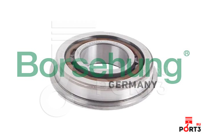 BORSEHUNG B19057
