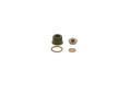 BOSCH F00N202354 ,  common-rail