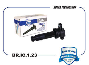 BRAVE BRIC123 
