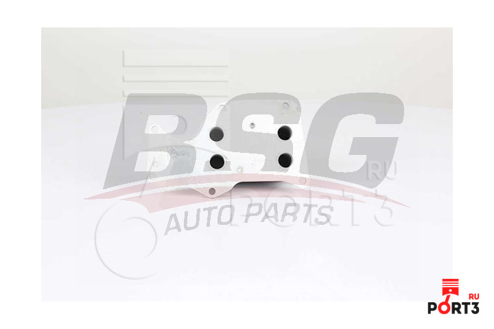 BSG BSG15506018