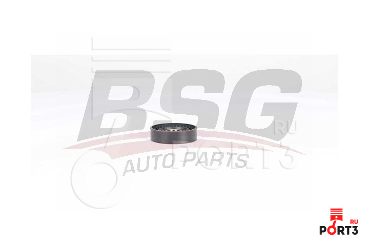 BSG BSG25615006