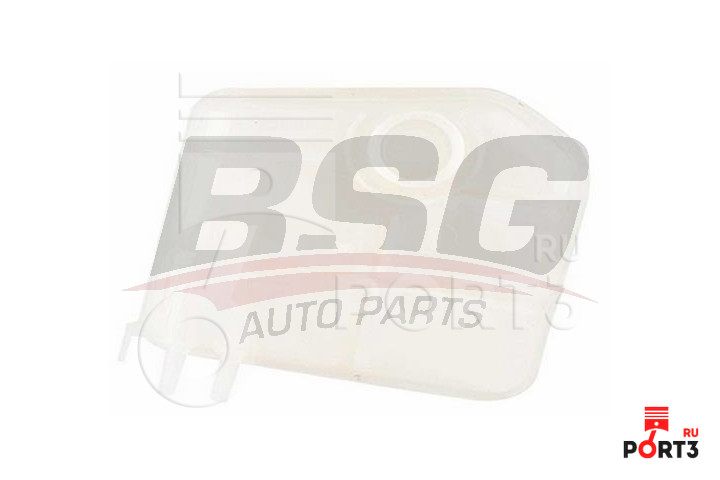 BSG BSG30550020
