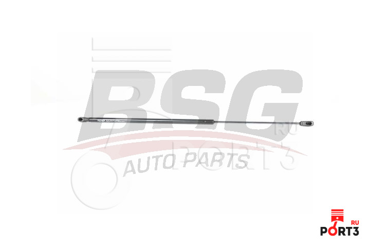 BSG BSG30980027