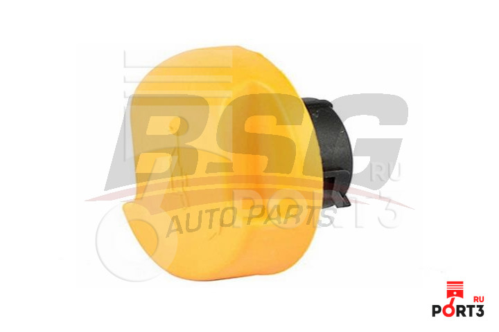 BSG BSG65700196