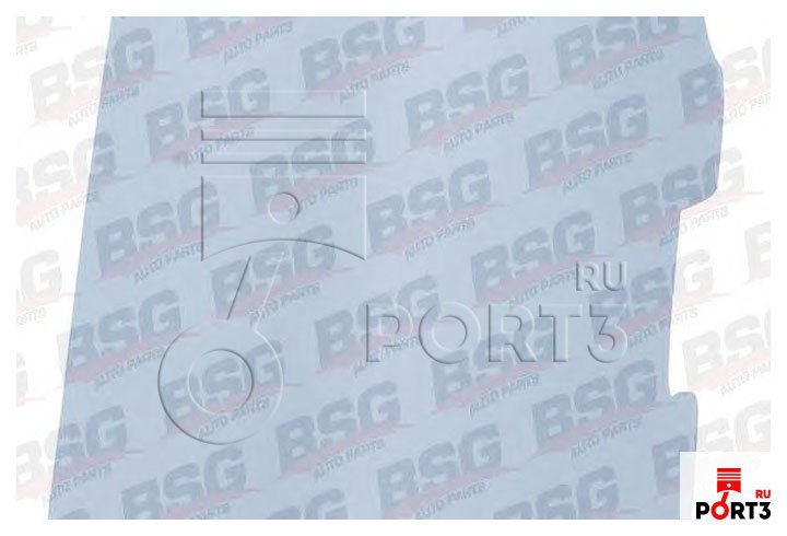 BSG BSG65922004