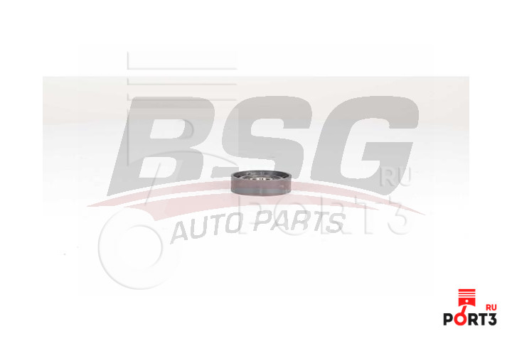 BSG BSG75615001