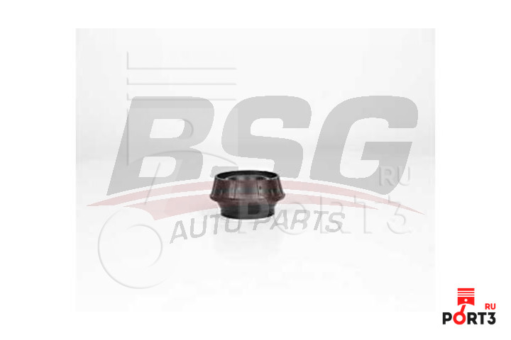 BSG BSG75700017