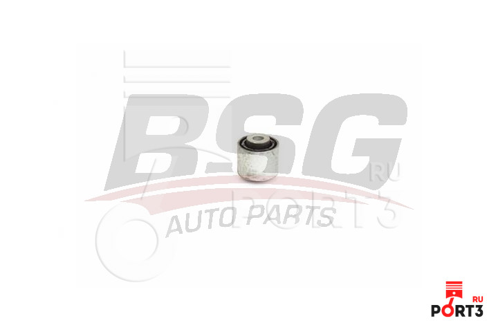 BSG BSG90700205