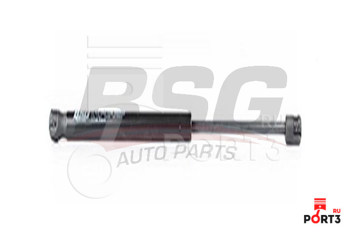 BSG BSG90980029
